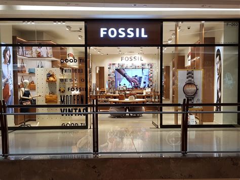 fossil shops near me.